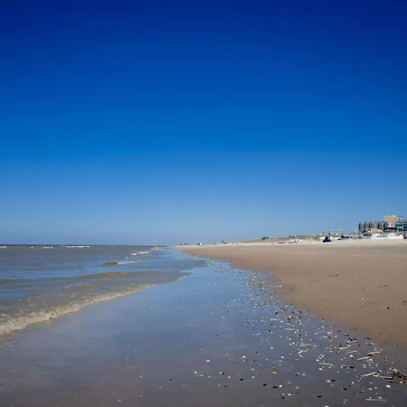 Sea